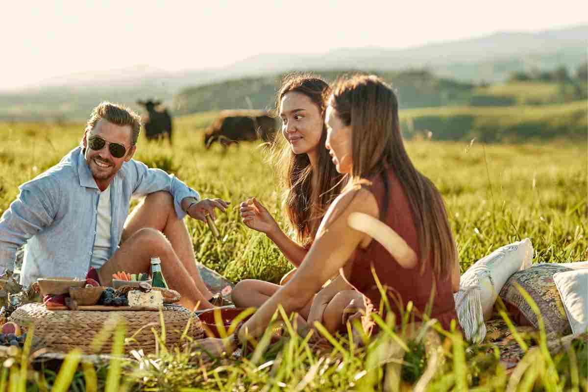 The Ultimate Guide to Choosing the Best Picnic Spot