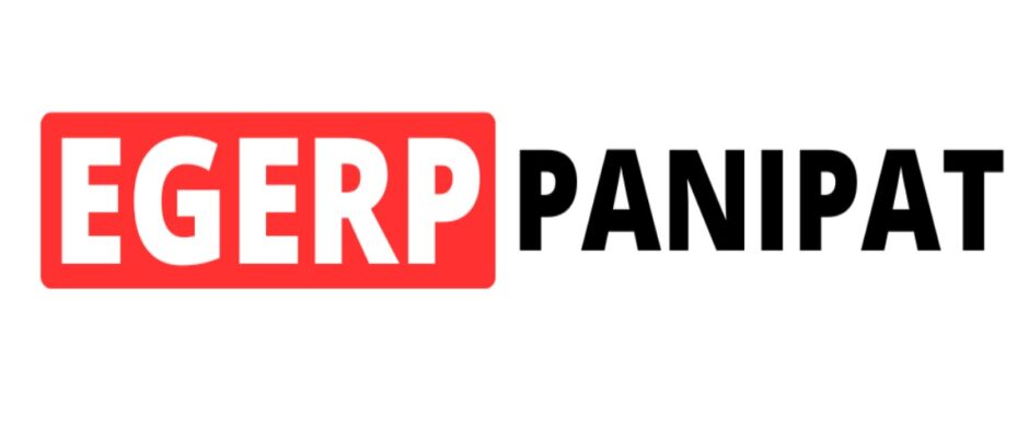 EGERP Panipat: Revolutionizing Enterprise Resource Planning in Panipat