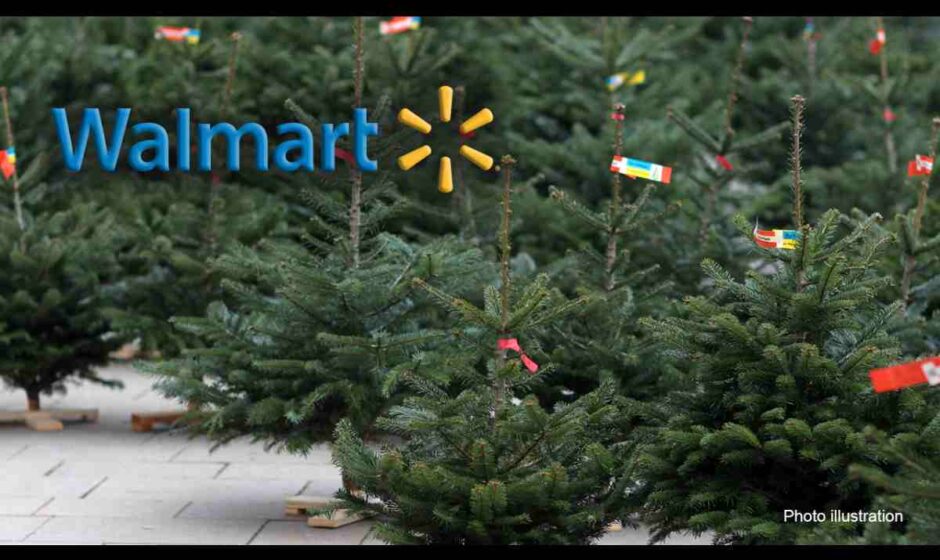 Walmart Christmas Trees